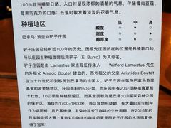 -DECAMERON十日谈(卓悦汇店)