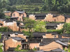 -杨家堂村