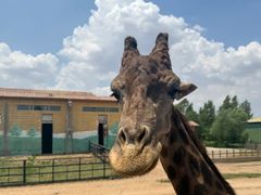 -鄂尔多斯野生动物园