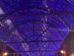 -广州长隆国际大马戏