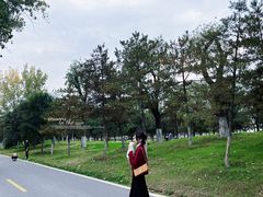 -汉长安城未央宫国家考古遗址公园