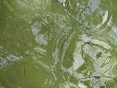 -西湖公园(鼓楼区)
