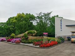-上海滨江森林公园