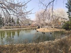 景点-长白岛森林公园
