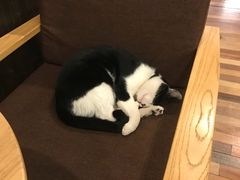 -猫的天空之城概念书店(杭州南宋御街店)