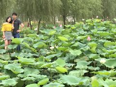 -陶辛水韵