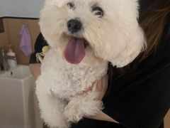 -瑞派康怡24h宠物医院·犬猫医疗中心·微创绝育(瑞景分院)
