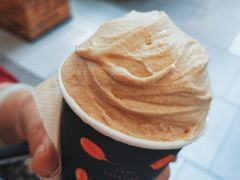 -野人先生现做冰淇淋(西安赛格店)