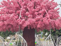 -长洲岛都市农业公园