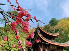 -云栖竹径