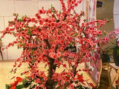 -中国宋庆龄青少年科技文化交流中心