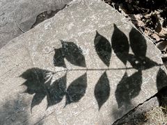 -老象峰