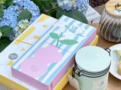 -苏小糖(鼓浪屿三丘田花园店)