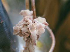 -寻小欢焖烤羊肉串(九眼桥店)