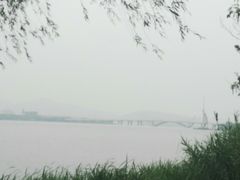 -高子水居