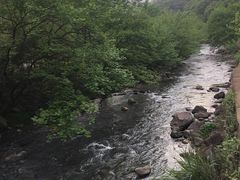 -衢州大荫山丛林飞越探险乐园