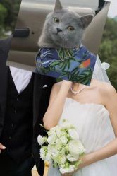 -花漾摄影优选工作室(东莞原创作品店)