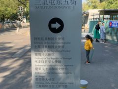 -三里屯东五街银杏大道
