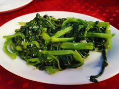 通菜-蛇口康乐快餐鱼仔档(翠苑小区店)