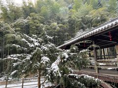 -莫干山风景区