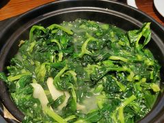 上汤豆苗-农汤老店(顺联公园里店)