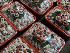 -菜园坝水果市场