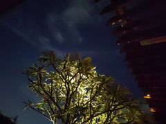 -广州柏悦酒店·悦吧·顶楼露天酒吧
