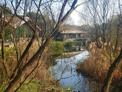 -西湖风景区-江洋畈生态公园