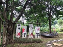 -英德宝晶宫天鹅湖茶语温泉