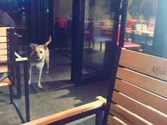 -Cactus墨西哥仙人掌餐厅