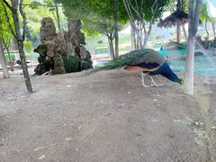 -陕西自然博物馆