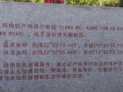 -杨梅坑