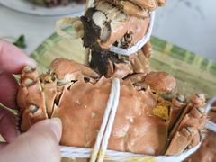 -蟹天蟹地农家菜·阳澄湖大闸蟹(浅水湾店)