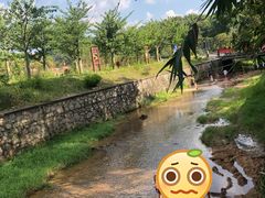 -红山村
