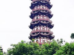 -西昌邛海湿地