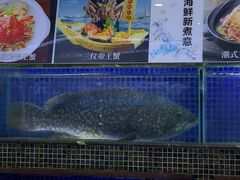 -欢乐海岸美食联盟