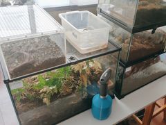 -灵龟之家百象馆(百象馆联合旗舰店)