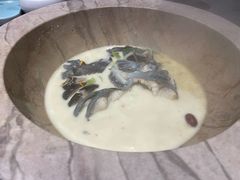-滇小鱼·云南野生菌火锅(上杭路店)