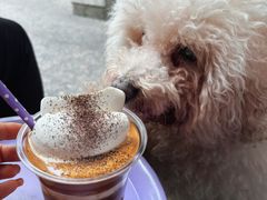 -HANA COFFEE(长寿路店)