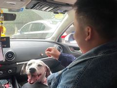 -云漫湖生态度假公园