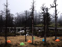 -瓦屋山景区