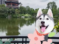 -岭南和园