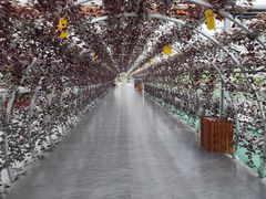 -兴芮温泉度假区