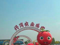 -兴芮温泉度假区