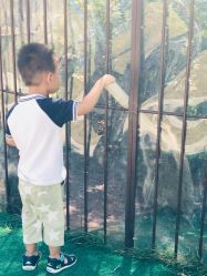 -萌宠亲子动物乐园(槐房万达店)