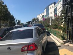 -山东大学齐鲁医院(青岛院区)