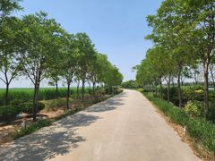 -南大港湿地风景区