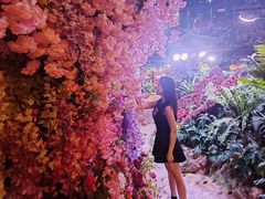 -正佳雨林生态植物园