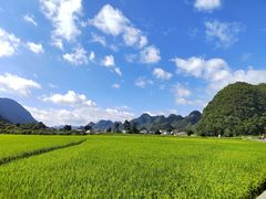 -万峰林风景区