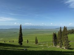 -新疆那拉提国家旅游度假区